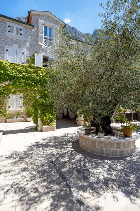Montenegro – Ljuta : Villa-Katarina 7
